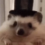 villenl's avatar